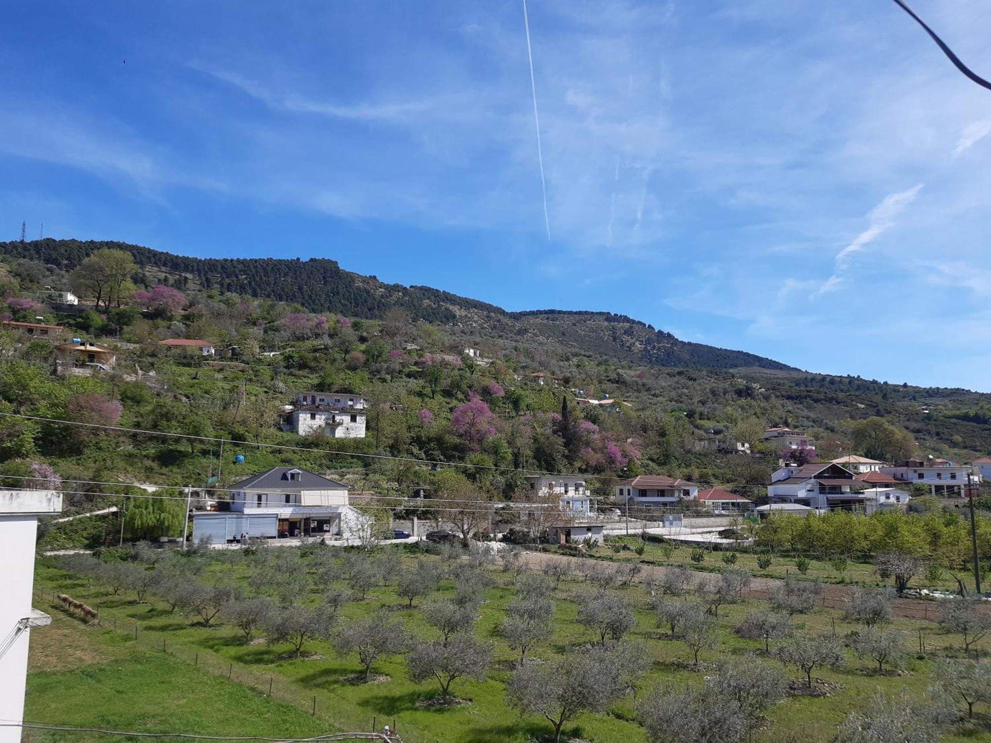 Villa Ari Berat Esterno foto