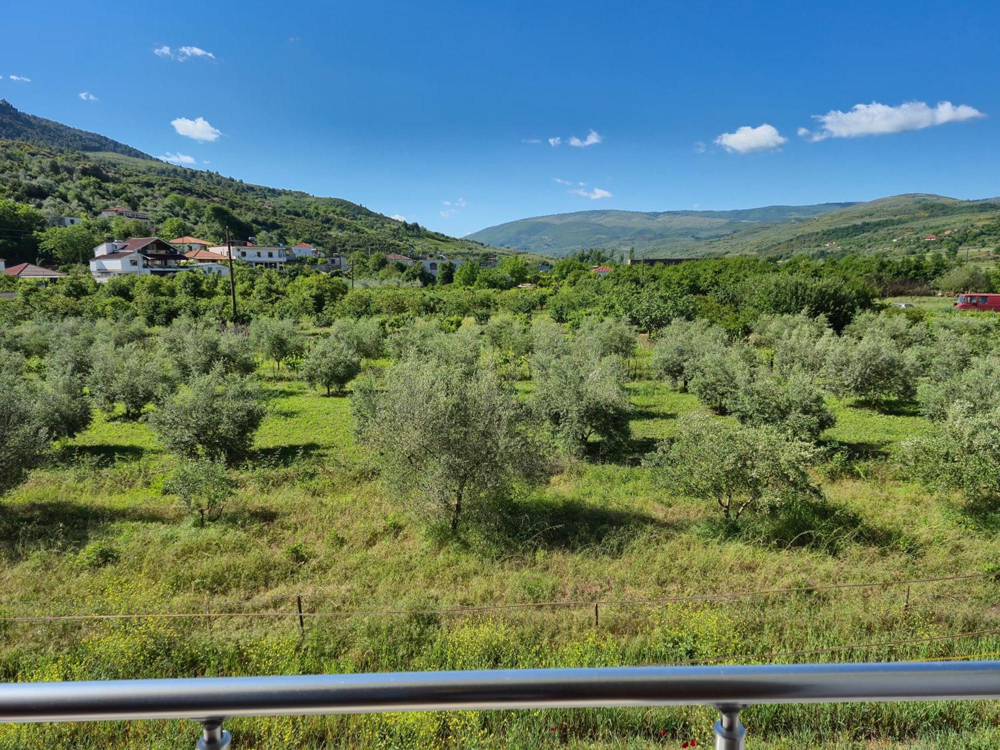 Villa Ari Berat Esterno foto